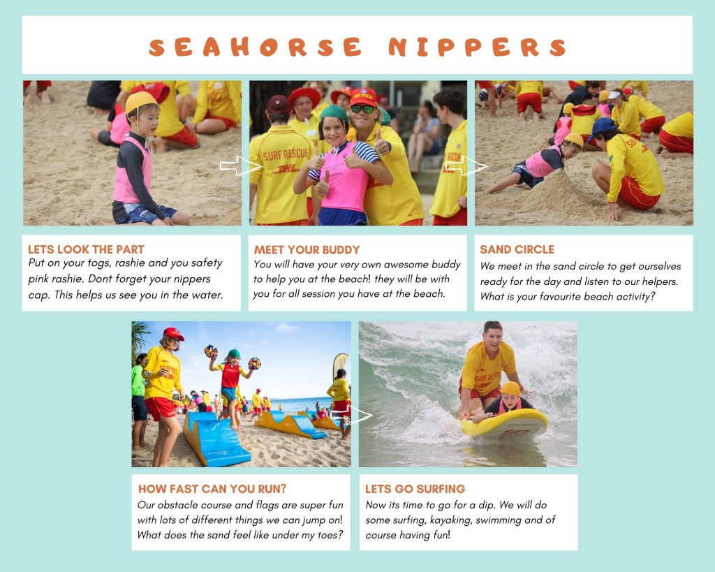 Seahorse Nippers (1)